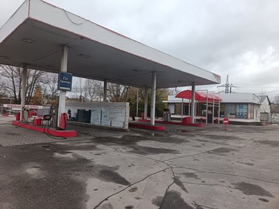 Зайцева